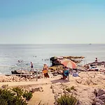 Coastal Creek * 펨브로크